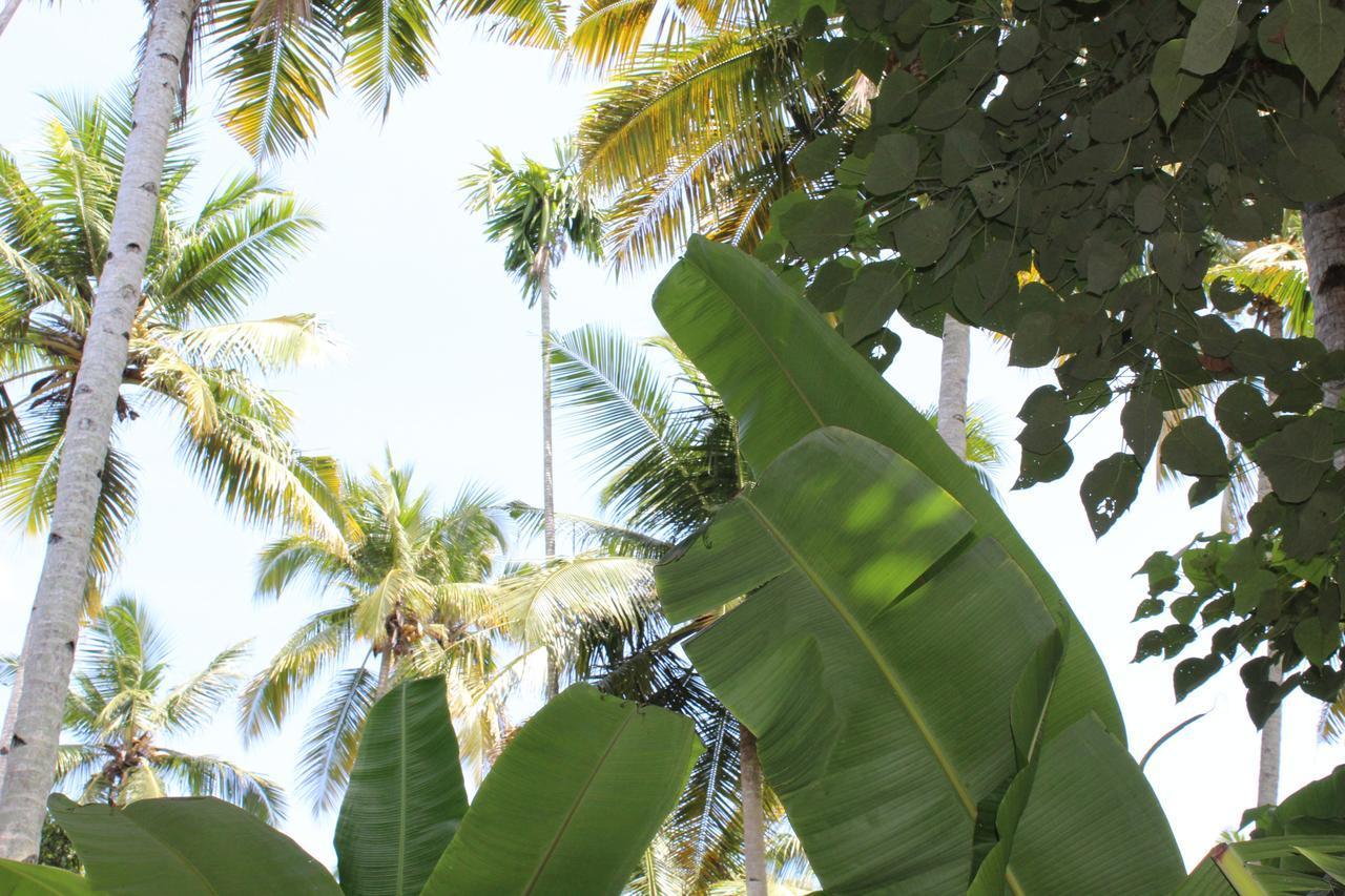 The Exotic Marigold Hotel Varkala Exterior photo